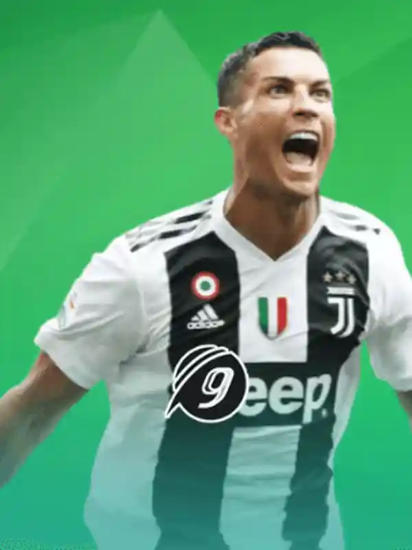 9Wickets খেলাধুলা - 1x bet app